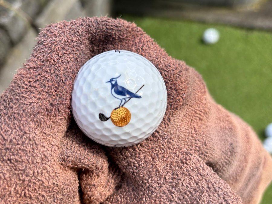 Golfbal met daarop een kievit die een bal slaat